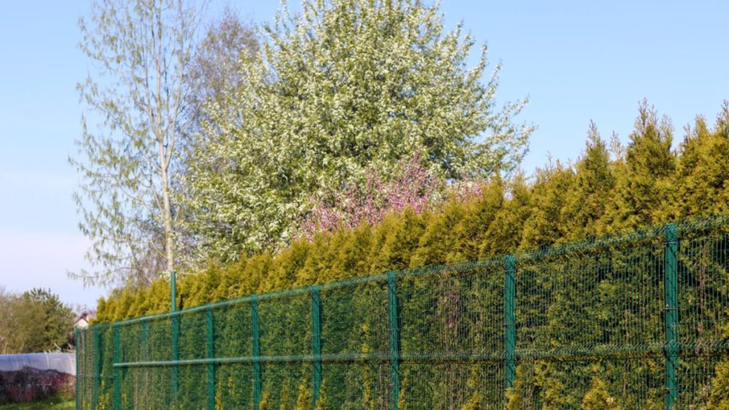 Quelle hauteur de grillage rigide choisir pour son jardin ?
