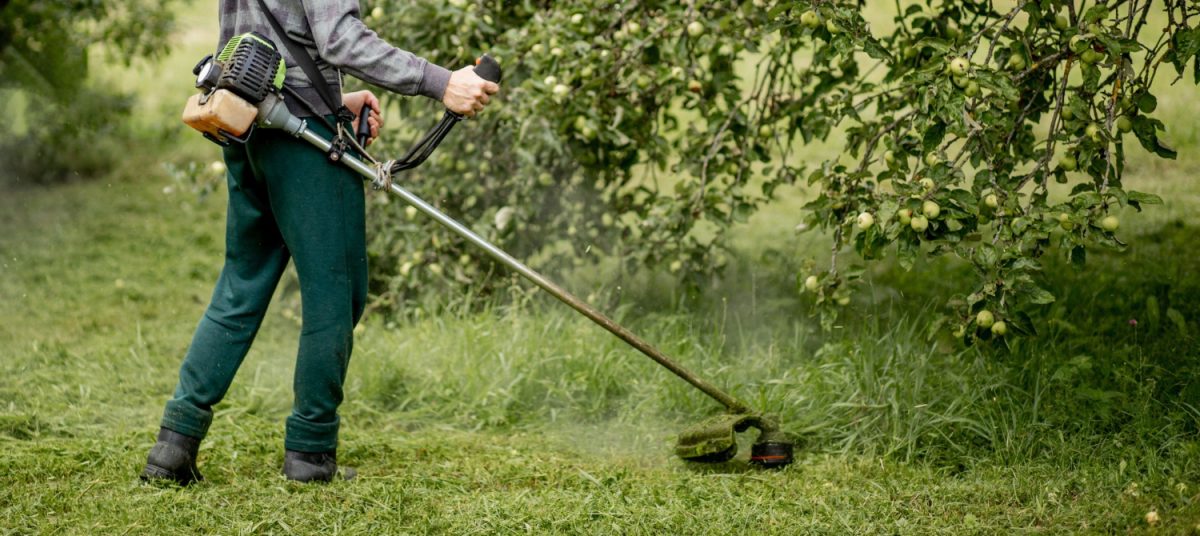 Travailleur avec une tondeuse à essence dans ses mains